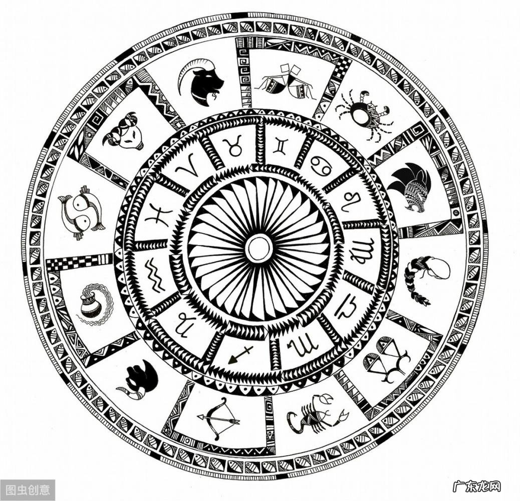 卯代表什么生肖什么动物 乙卯对应的是什么生肖