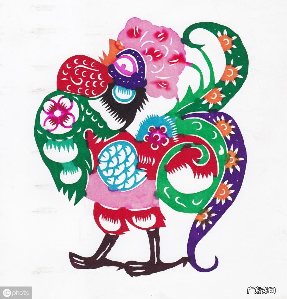 卯代表什么生肖什么动物 乙卯对应的是什么生肖