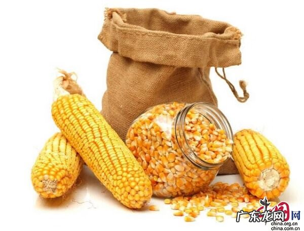 玉米粉爽身粉的功效与作用 玉米爽身粉的作用
