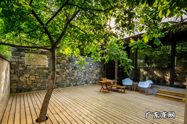 屋后种树风水 家里种树风水