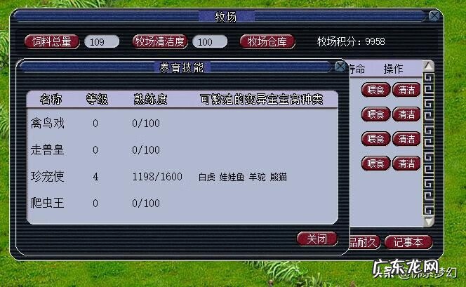 梦幻西游牧场饰品有什么用 梦幻牧场和风水影响