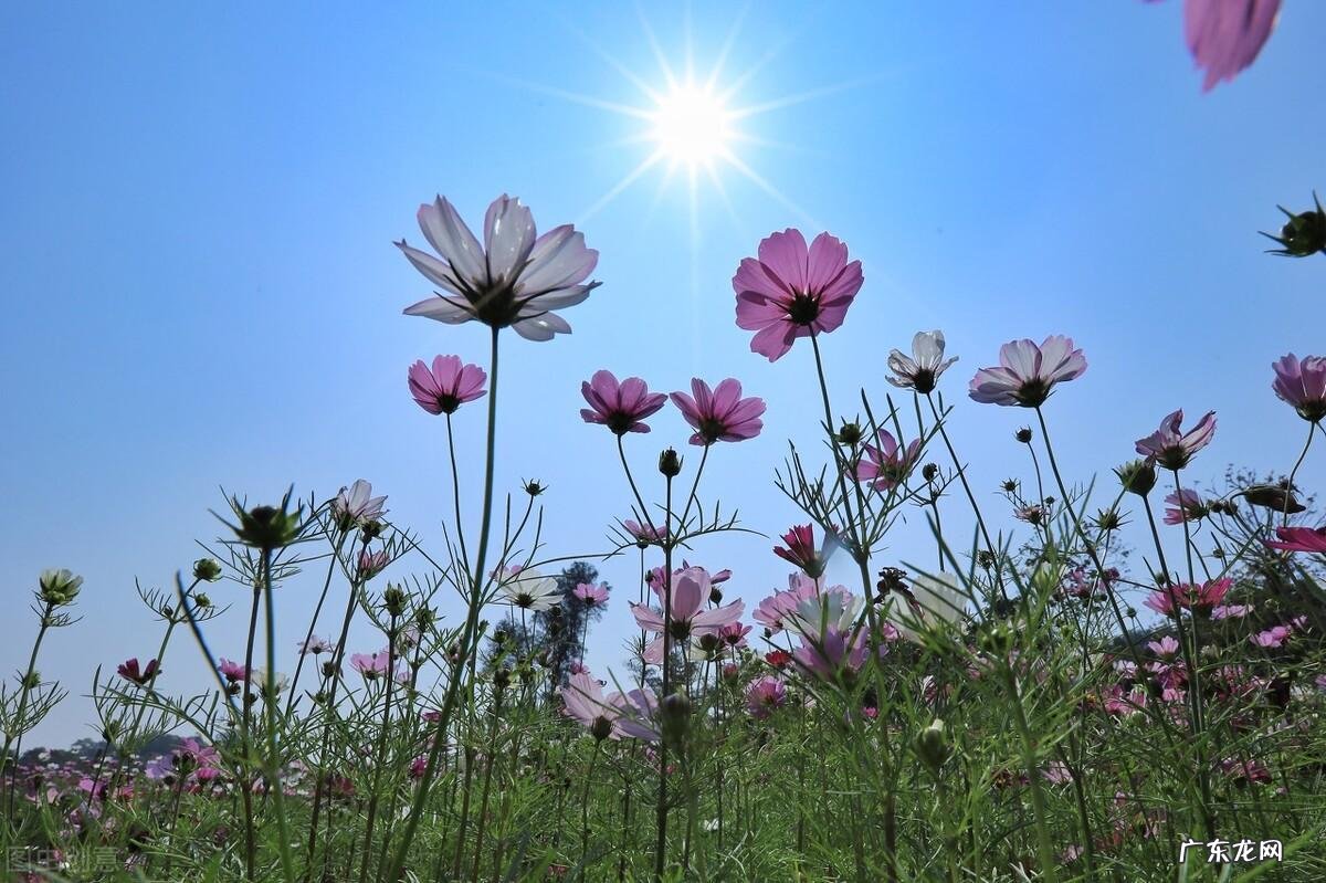 “现代医学之父”希波克拉底:流传2400年的6个健康金句,受益