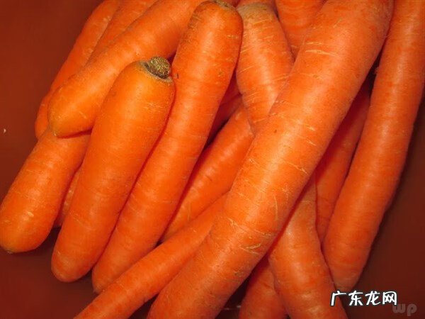 对眼睛有益的食物有哪些 对眼睛好的食物排行