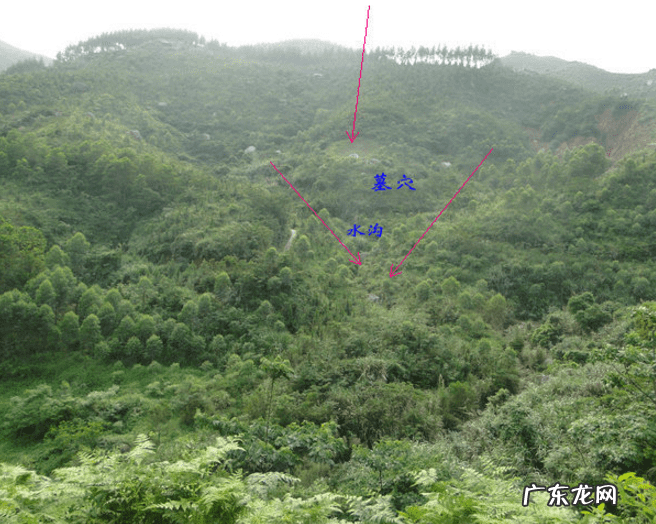 冀龙和霸王龙 风水中的剑冀龙