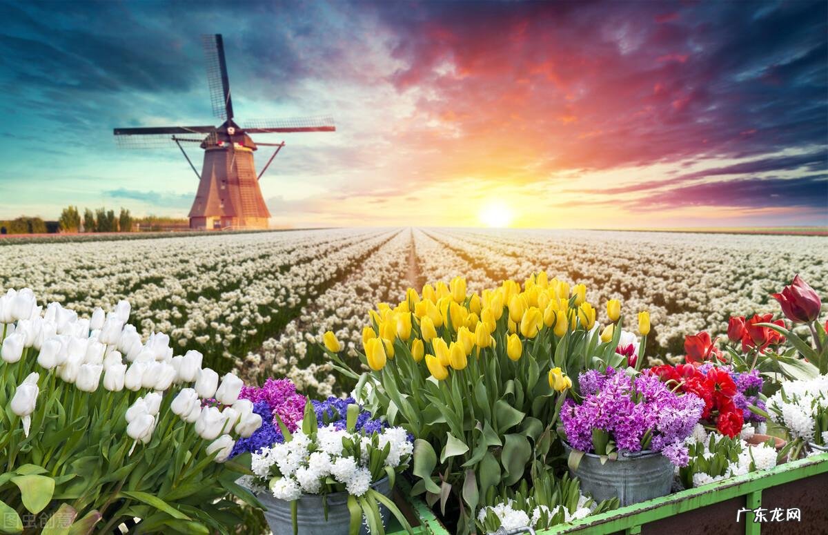 《中庸》：最厉害的3句话，说尽一生