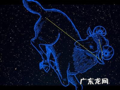 白羊座很浪漫吗 白羊座懂得浪漫吗知乎