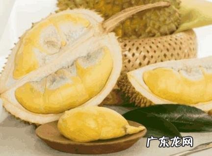 榴莲为什么有人说臭有人说香 榴莲为啥有人觉得臭有人觉得香
