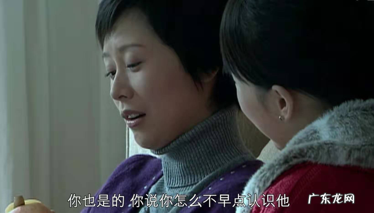 蜗居大结局是什么 蜗居结局是啥