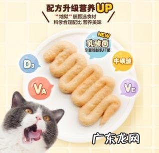 地狱厨房咕噜酱是什么做的 地狱厨房咕噜酱好不好