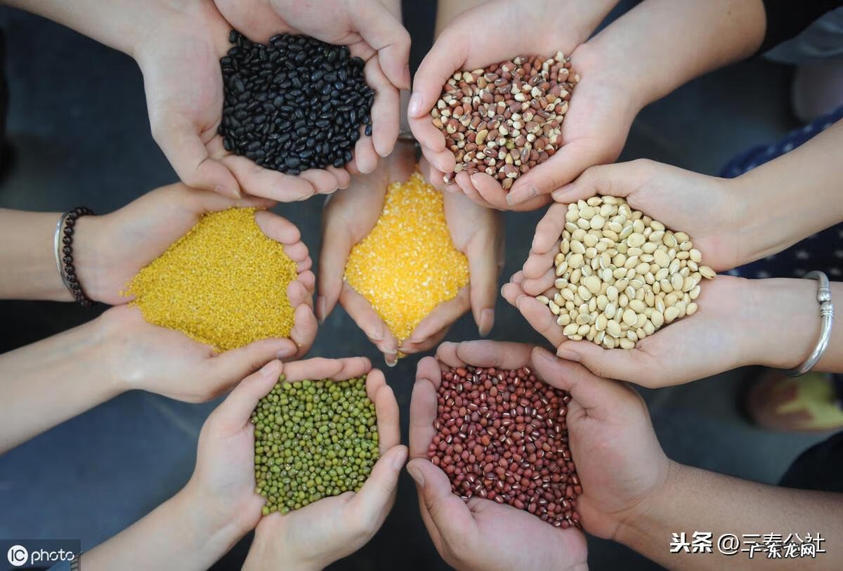 五谷是指哪些 五谷是什么意思