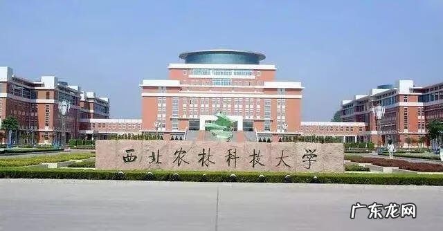 西安的大专院校有哪些 西安公办大专院校有多少