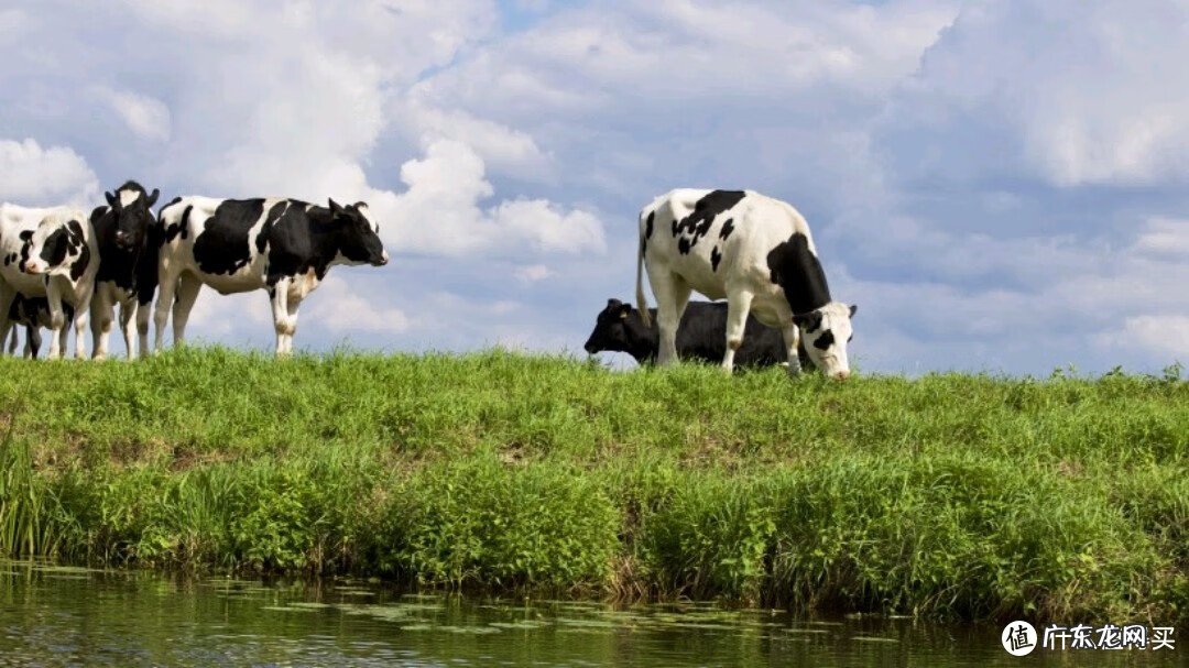 什么奶粉好 哪种奶粉比较好