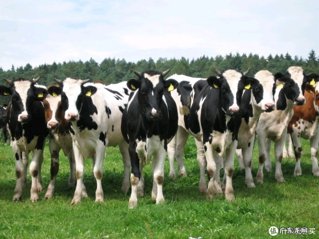 什么奶粉好 哪种奶粉比较好