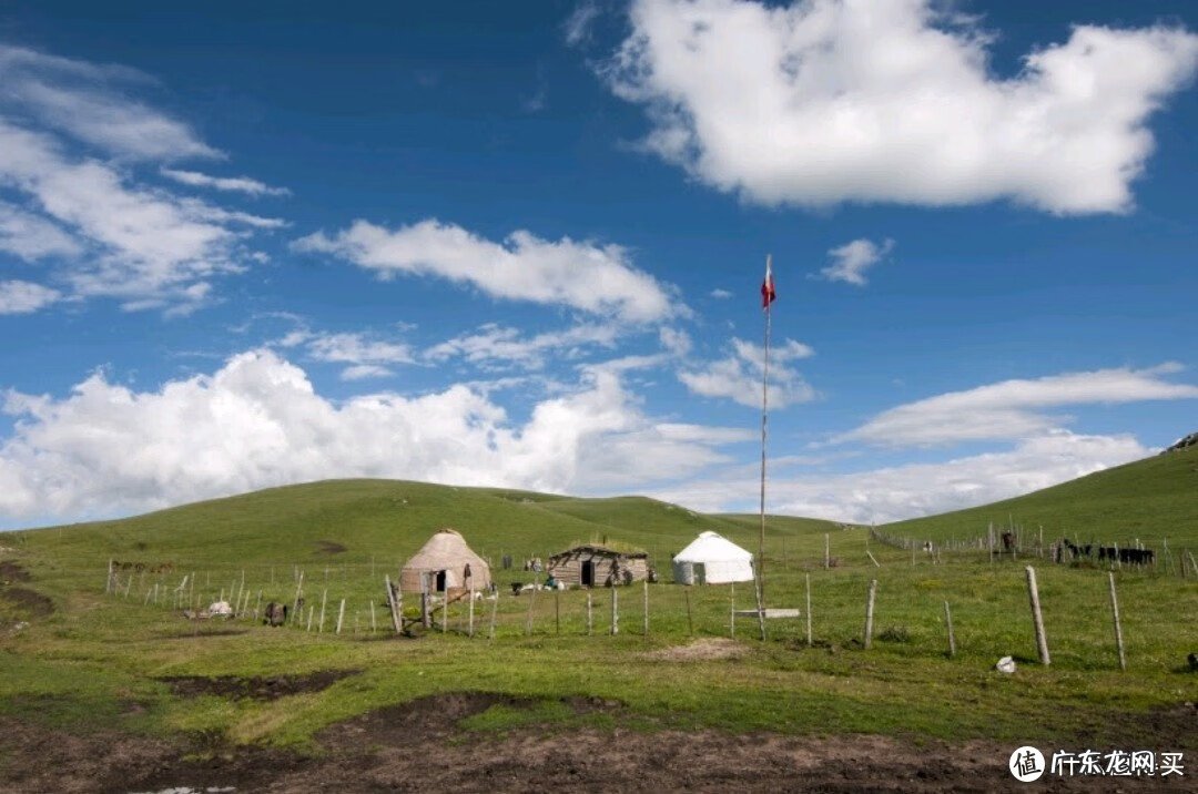 什么奶粉好 哪种奶粉比较好