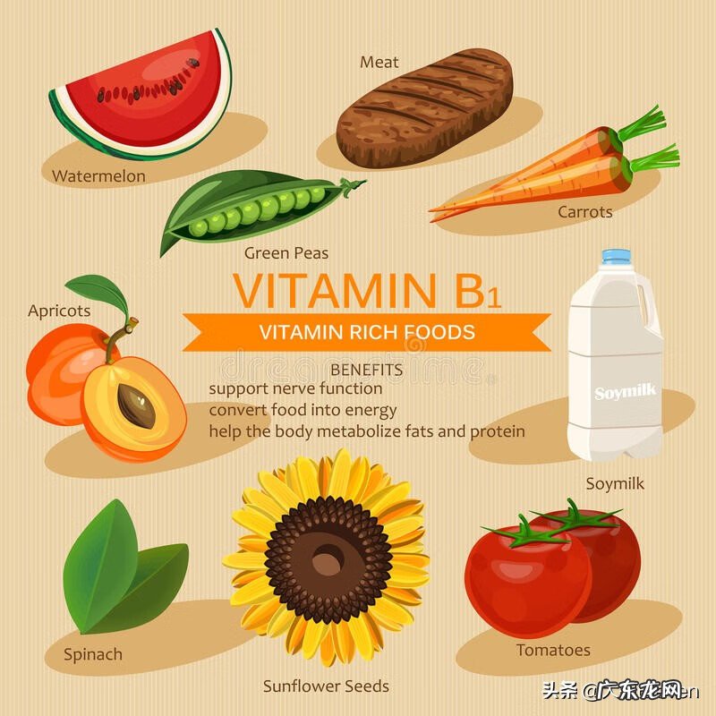 vb维生素b vb1