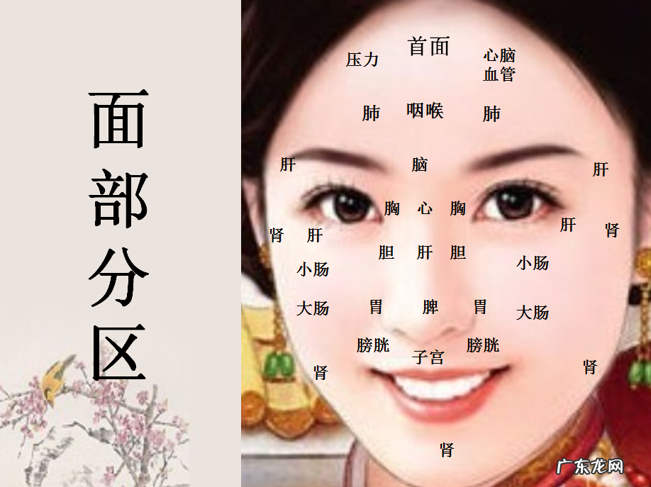 下巴面部风水学 面部的风水学