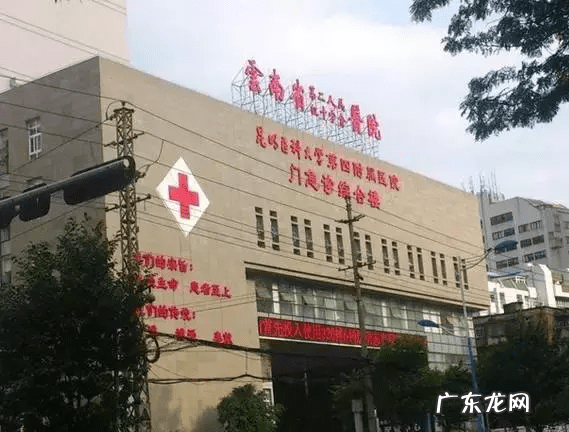 麦当劳售后客服 4008517117