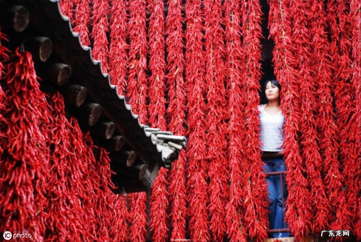 风水红辣椒挂件的寓意 红辣椒的风水作用