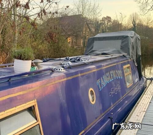 家里放天鹅的画的寓意 船上站着一对天鹅的风水画是什么