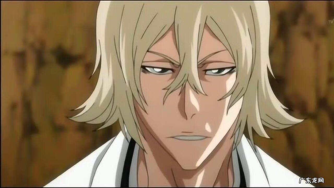 八千流居然是剑八的卍解 平子真子