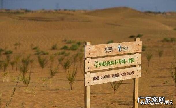 蚂蚁森林怎样产生绿色能量 怎样获取蚂蚁森林能量