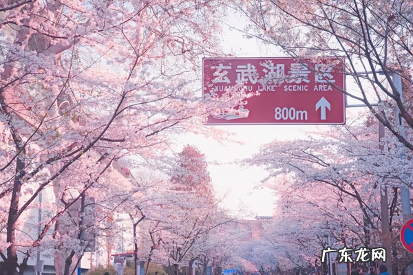 4月去哪里旅游比较好 4月去哪里旅游最好玩?