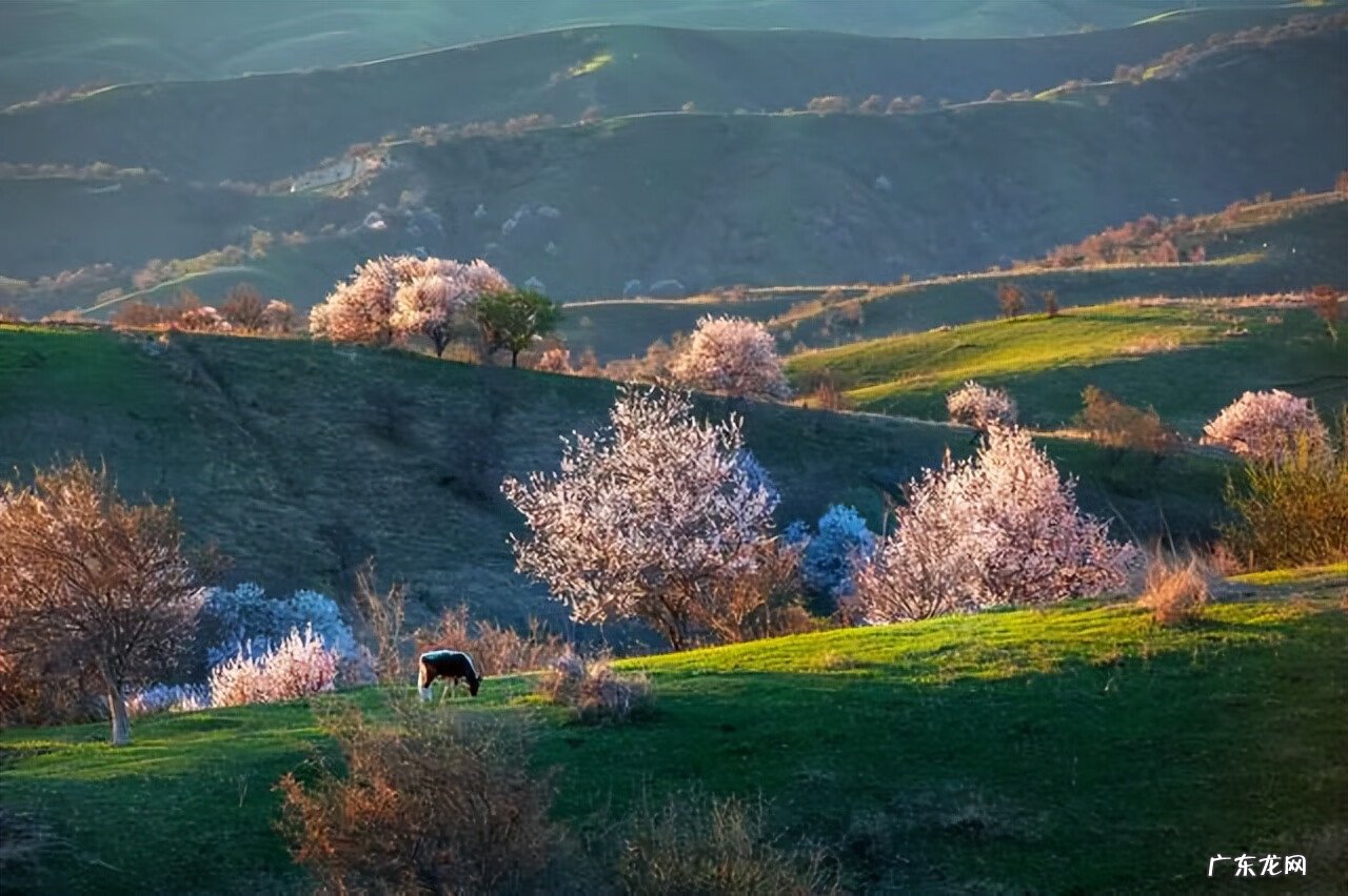 4月去哪里旅游比较好 4月去哪里旅游最好玩?