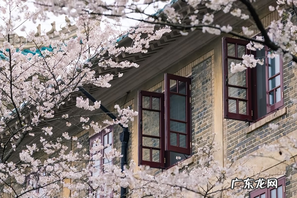 4月去哪里旅游比较好 4月去哪里旅游最好玩?