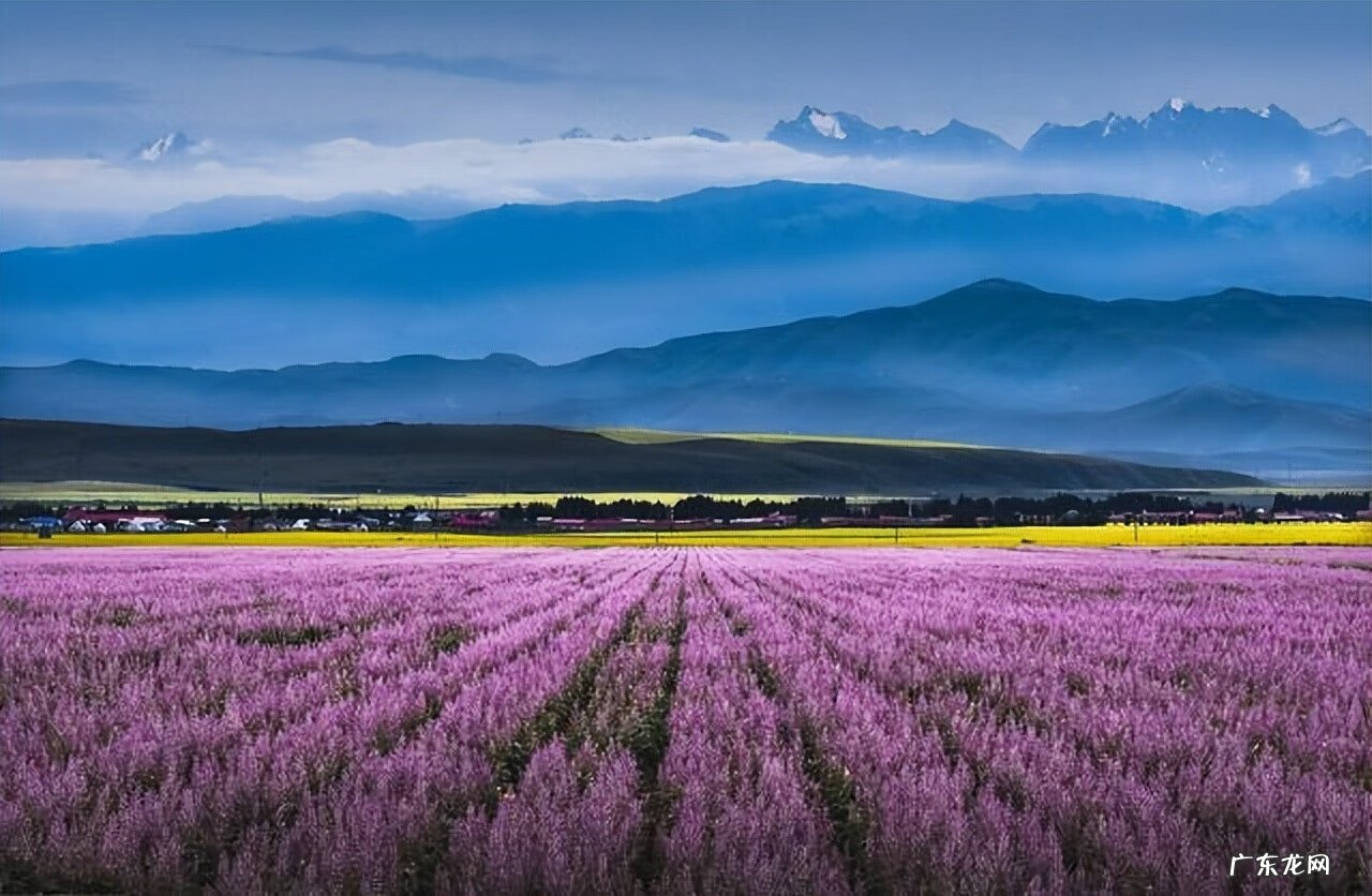 4月去哪里旅游比较好 4月去哪里旅游最好玩?