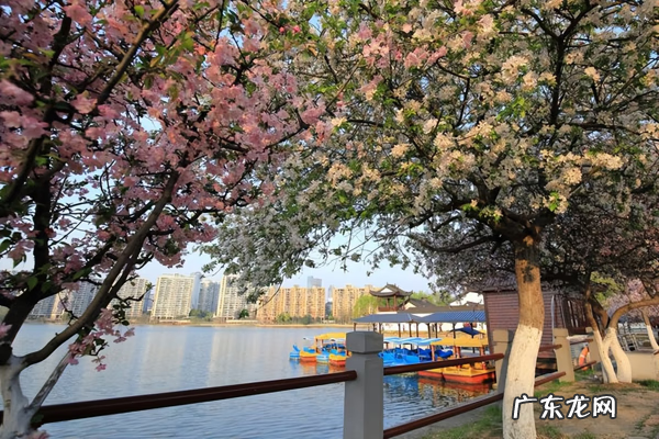 4月去哪里旅游比较好 4月去哪里旅游最好玩?