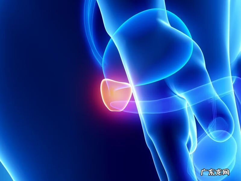 精子液化还有胶状物 精液里有胶状物