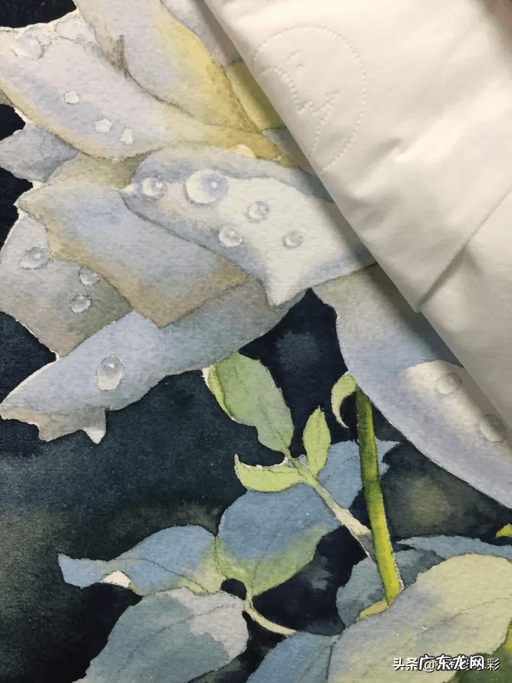 白玫瑰油画 白玫瑰花怎么画