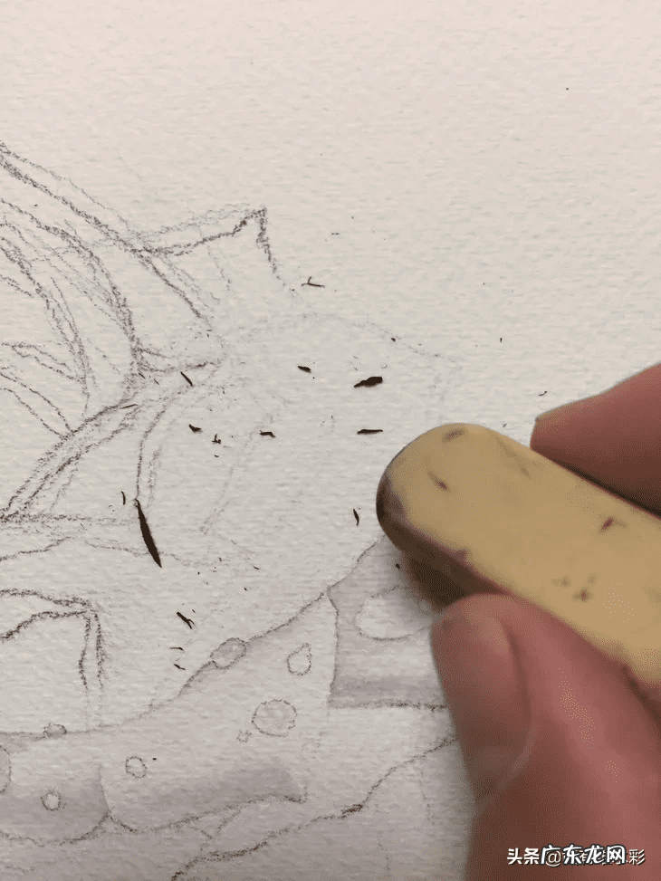 白玫瑰油画 白玫瑰花怎么画