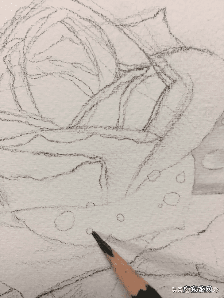 白玫瑰油画 白玫瑰花怎么画