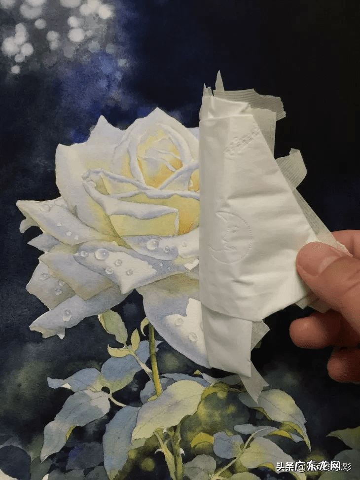 白玫瑰油画 白玫瑰花怎么画