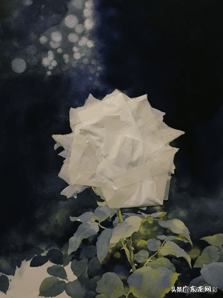 白玫瑰油画 白玫瑰花怎么画