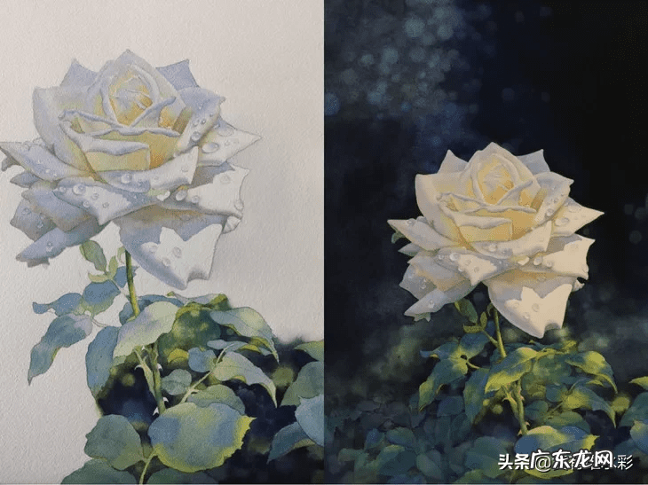 白玫瑰油画 白玫瑰花怎么画