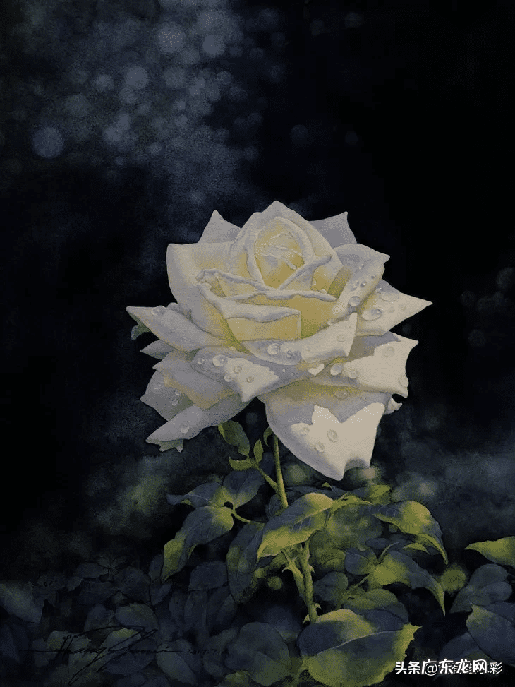 白玫瑰油画 白玫瑰花怎么画