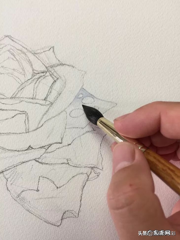 白玫瑰油画 白玫瑰花怎么画