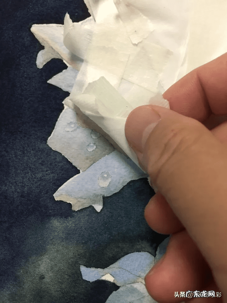 白玫瑰油画 白玫瑰花怎么画