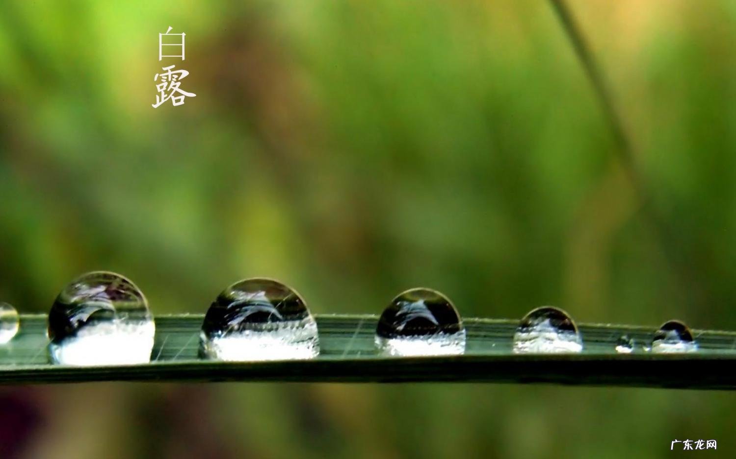 2021年9月的天气是怎么样的 2021年9月份天气怎么样湖北