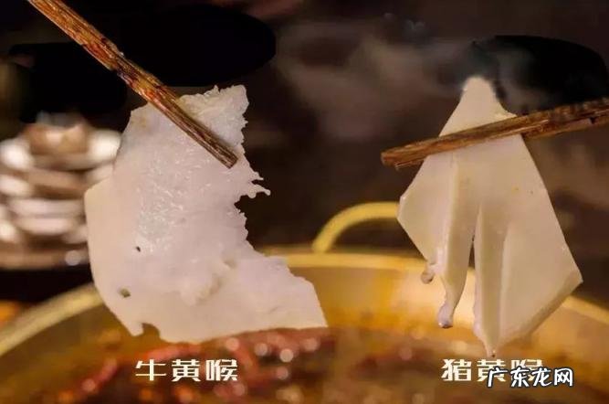涮火锅的黄喉是什么部位 吃火锅黄喉怎么洗