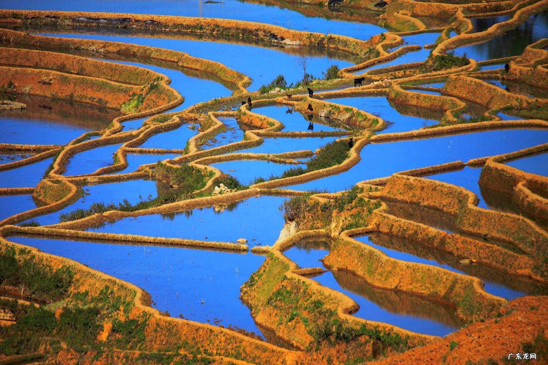 上等风水宝地 云阳风水宝地