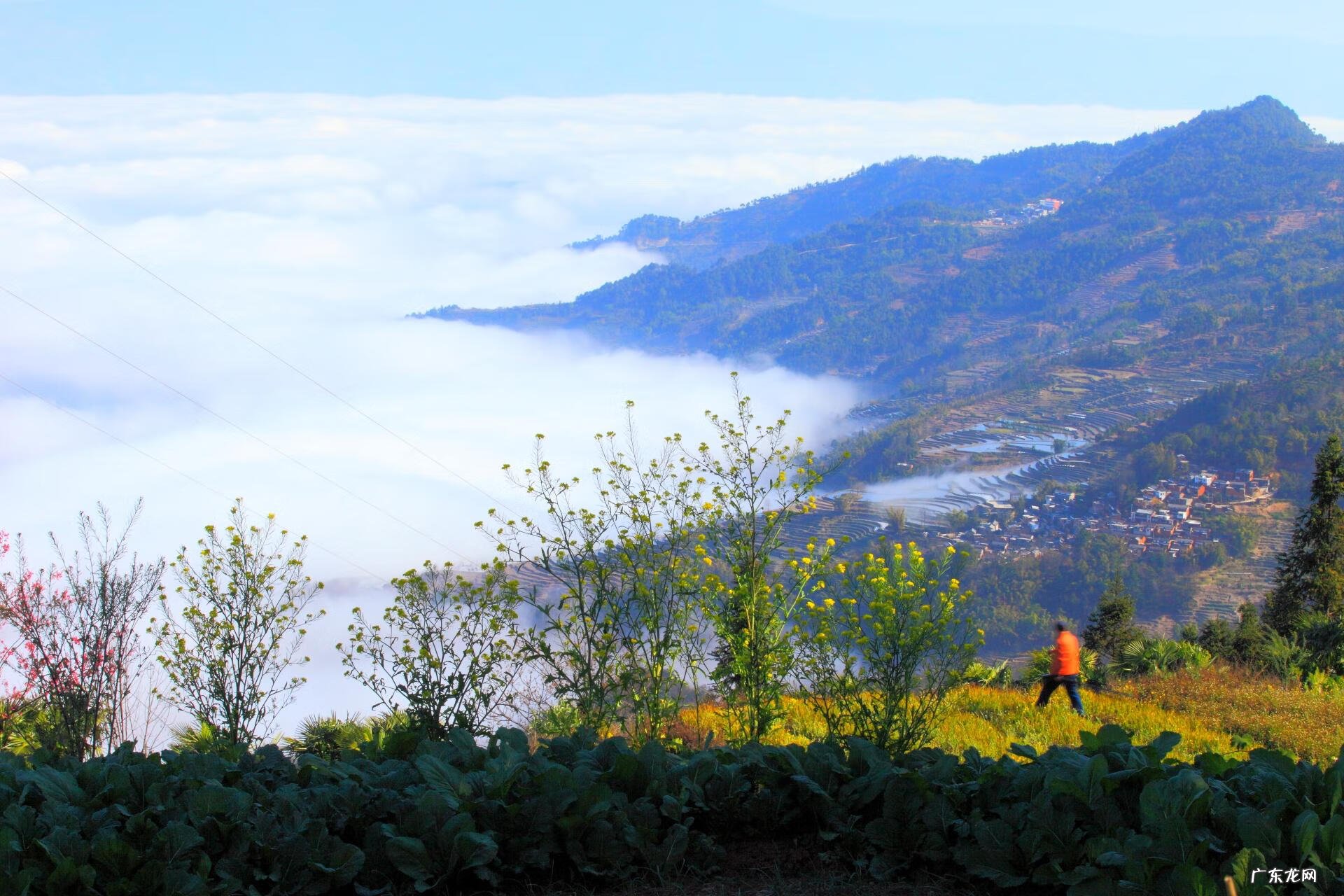 上等风水宝地 云阳风水宝地