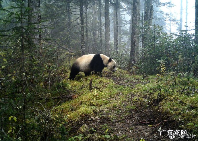 公园入口大门 公园门票