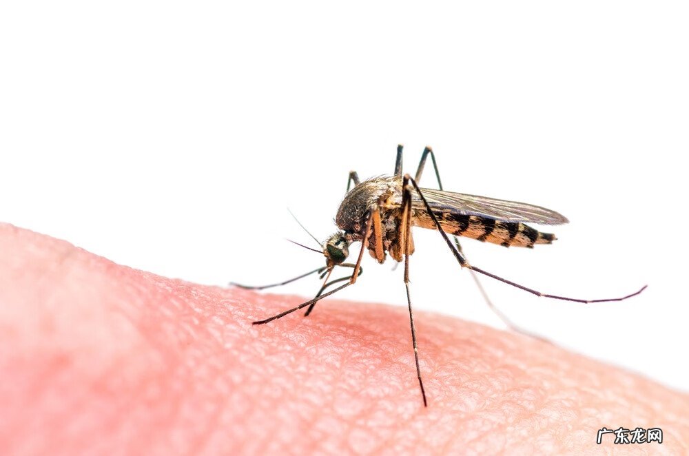 乙脑疫苗副作用最大