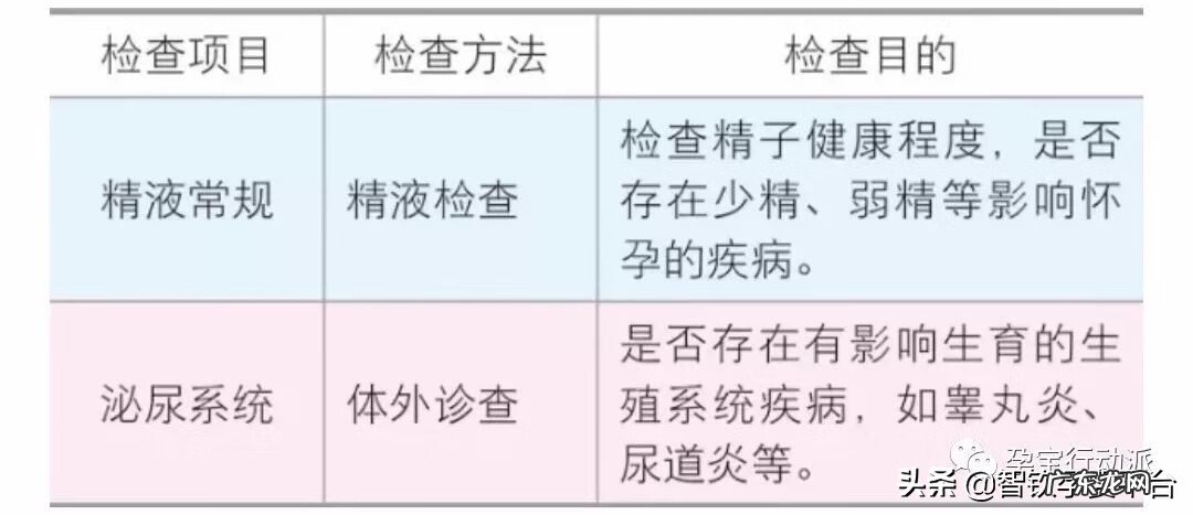 孕前检查包括哪些项目内容 怀孕了怎么做孕前检查