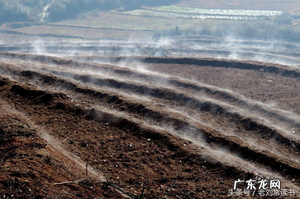 风水中的气到底是什么 风水中的气是什么意思