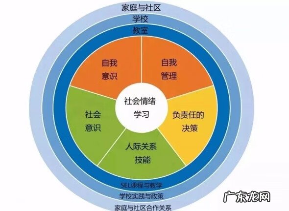 情感教程 情感培训师