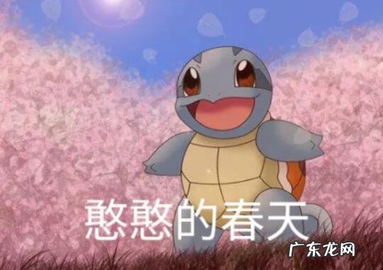 铁憨憨是骂人的吗 铁憨憨是骂人的吗表情包